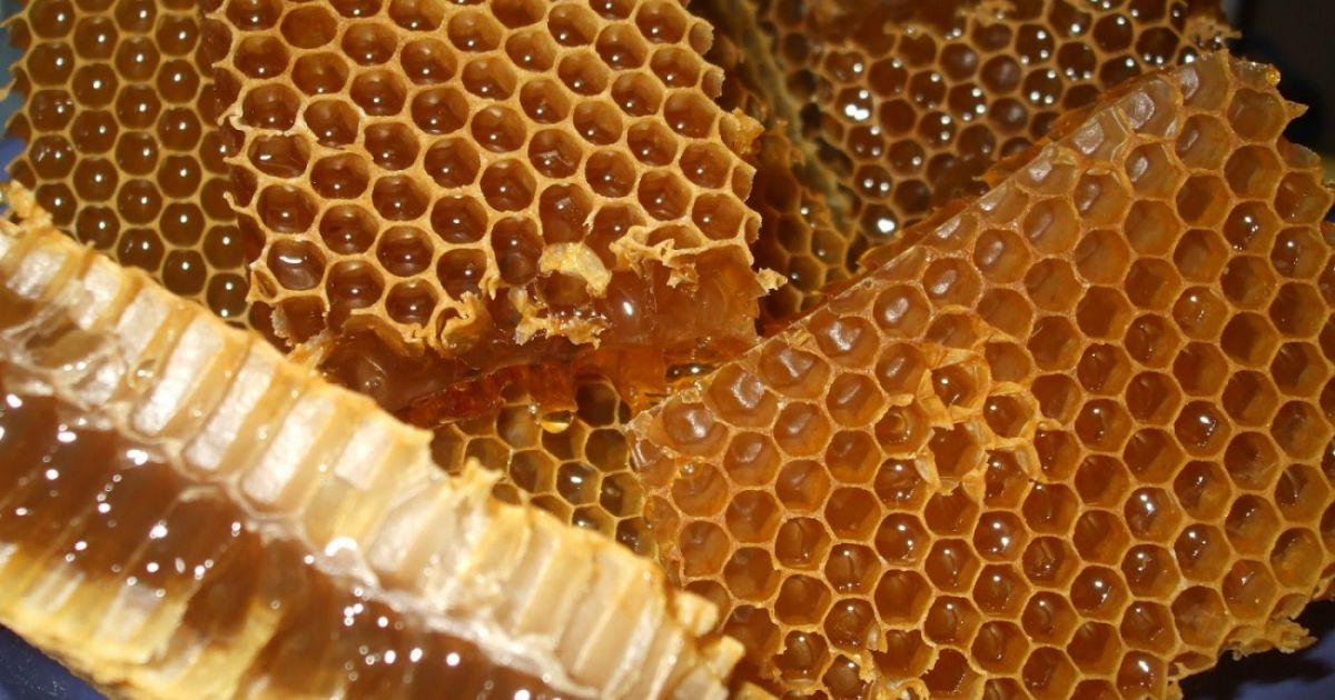 Capaceala de la fagurele de miere vindeca ficatul, plamanii si regleaza metabolismul – Vezi cum se consuma