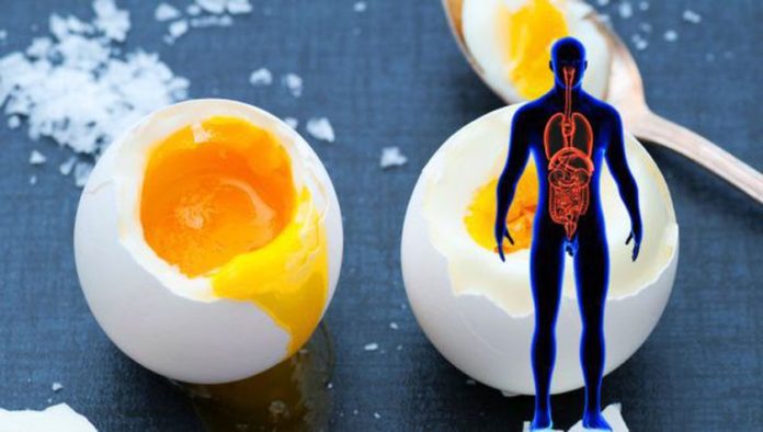 Noua schimbări care intervin în organism dacă mănânci 2 ouă în fiecare zi