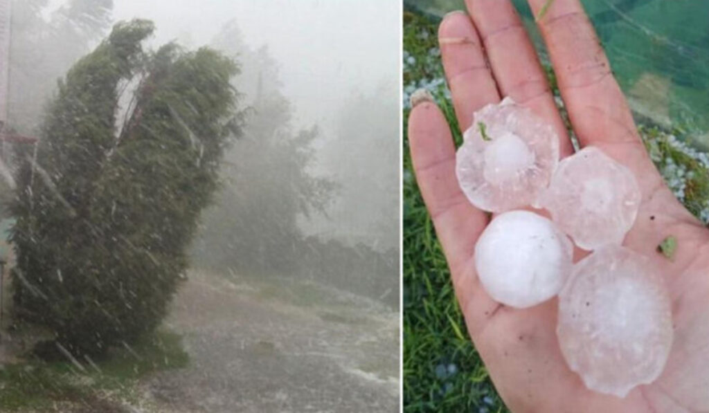 Alerta METEO. Cod galben de ploi torentiale, vijelii si grindina. Zonele vizate de fenomene extreme.